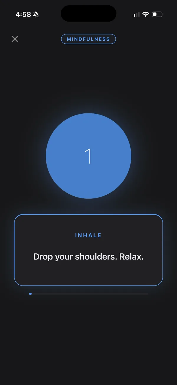 Box breathing exercise in Relentless with a guided inhale count